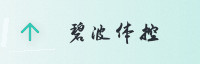 合作伙伴